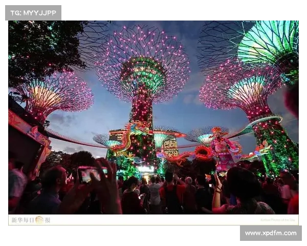 新加坡花游队提前抵达赛场全力适应室外环境迎接比赛挑战